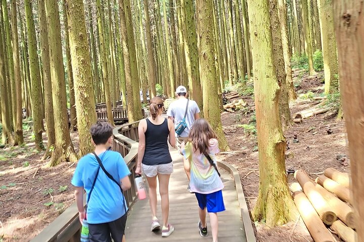 Half or Day Tour For Cruise customers arriving at Jeju City Port - Photo 1 of 25